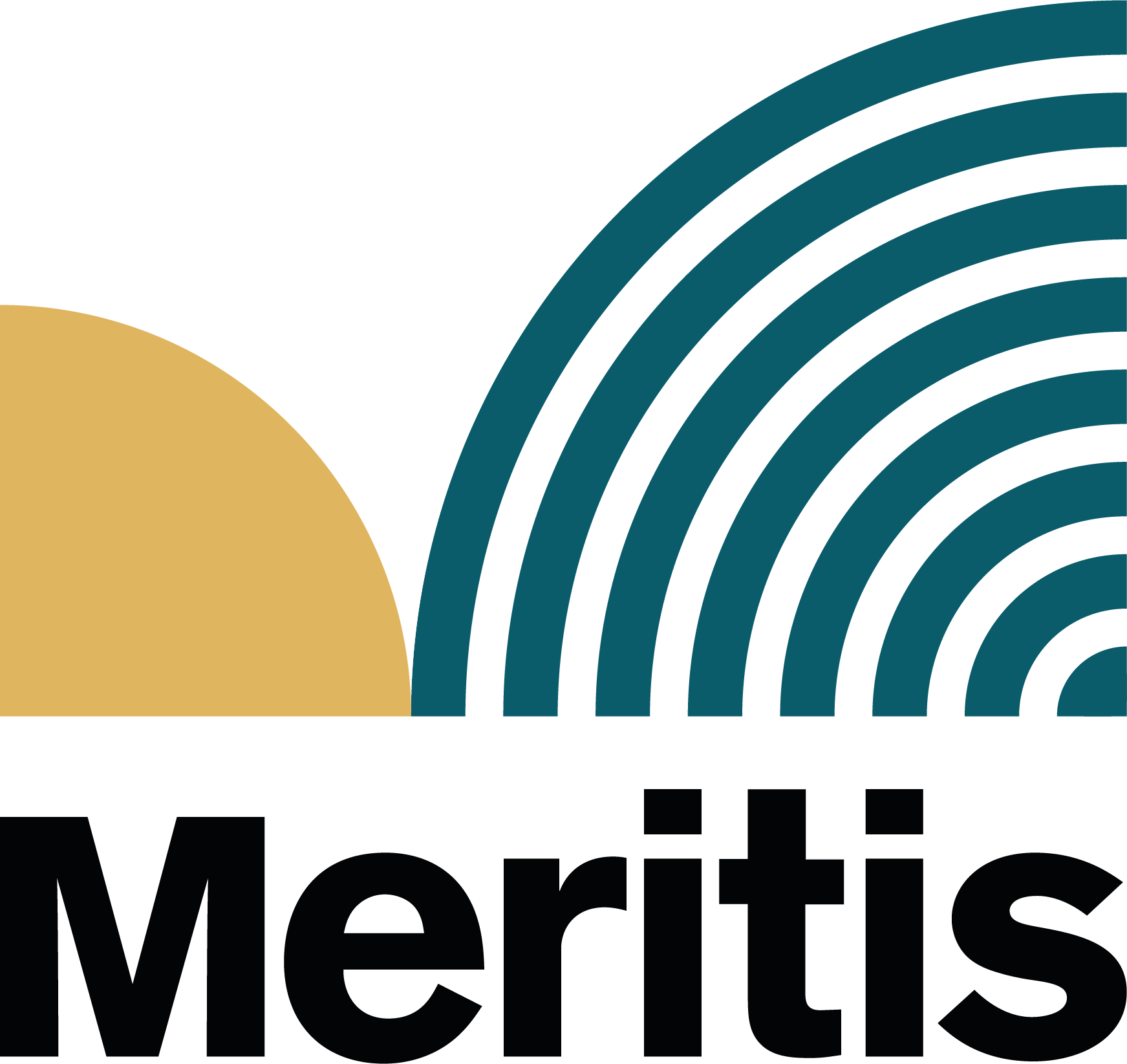 Meritis